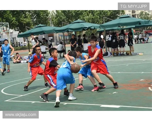 篮球之路：从街头到职业赛场的成长与挑战