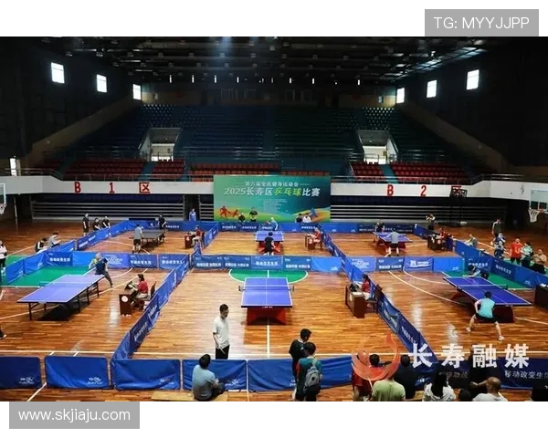 乒乓球运动的魅力与发展探索：从竞技场到全民健身的全面解析