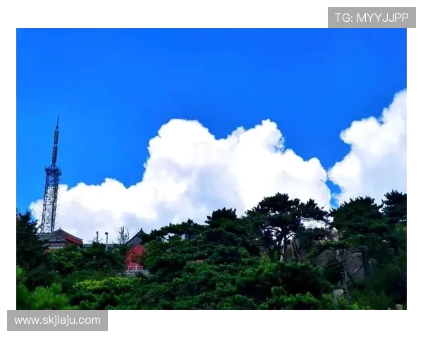 泰山文化遗产与自然景观融合发展研究:以山东泰山为中心的探索与实践 泰山文化遗产与自然景观融合发展研究:以山东泰山为中心的探索与实践