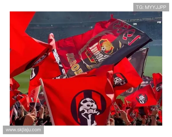 FC首尔与墨尔本胜利精彩对决回放全程解析与精彩瞬间重温